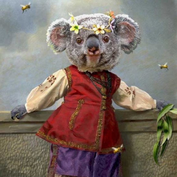 Meet your Posher, Koala - Picture 1 of 1